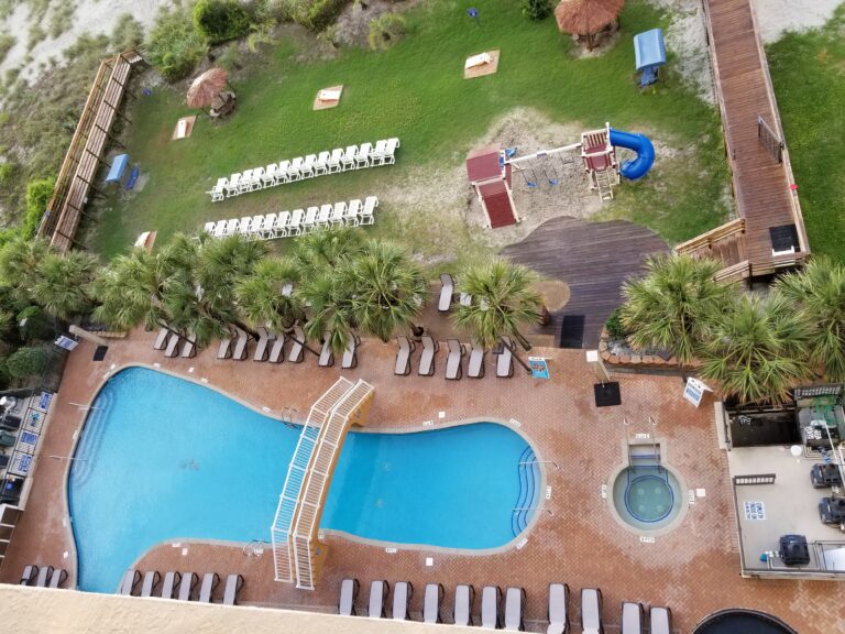 Pool and palms seen from the balcony