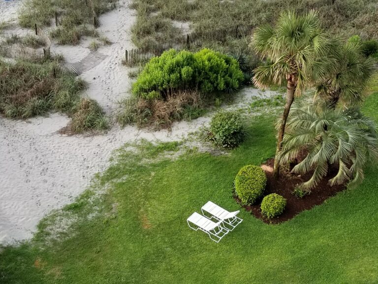 Dunes and palms below the balcony