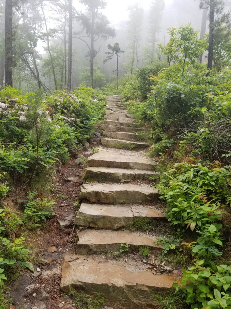 Stone steps disappearing into the fog