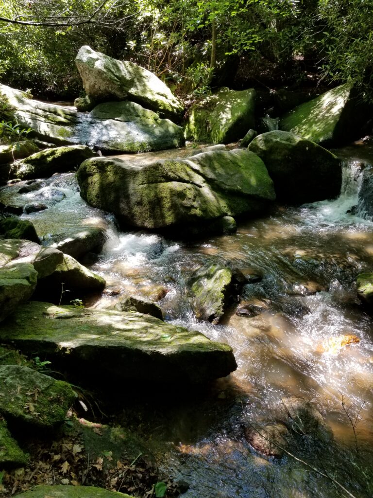 Cascades over mossy rocks