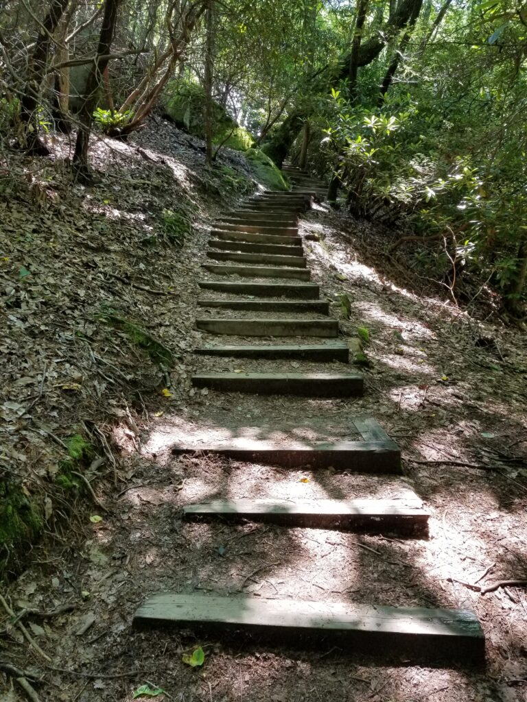 Wooden steps on the trail