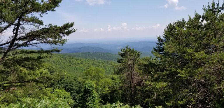 Blue ridges from Basin Cove Overlook
