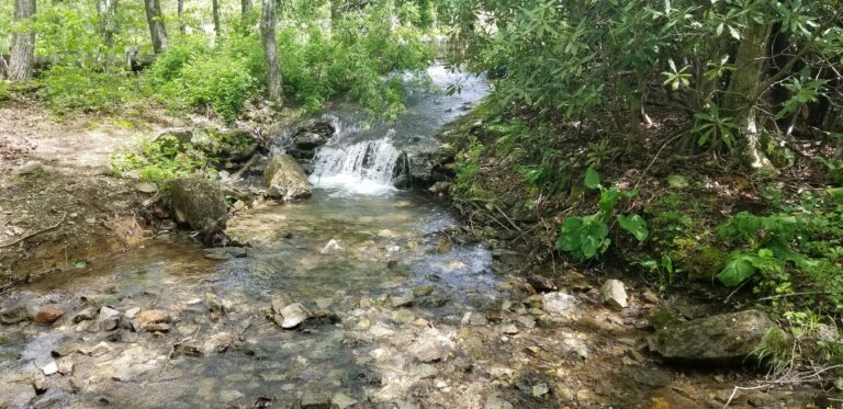 Small cascade on the creek