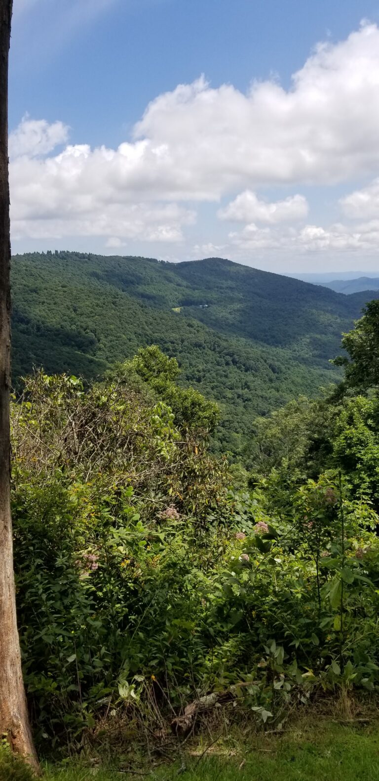 View toward Betsey's Rock Falls