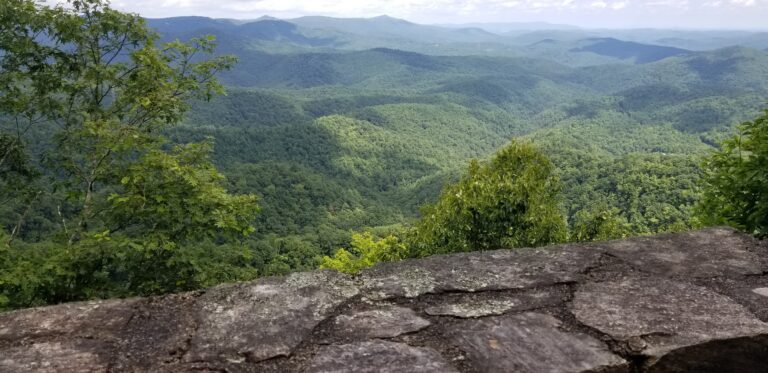 Layers of green ridges from a Parkway overlook
