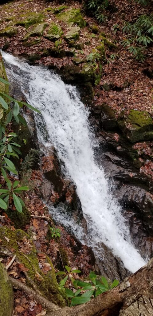 Cascade on the creek near the Bullen Hollow trailhead