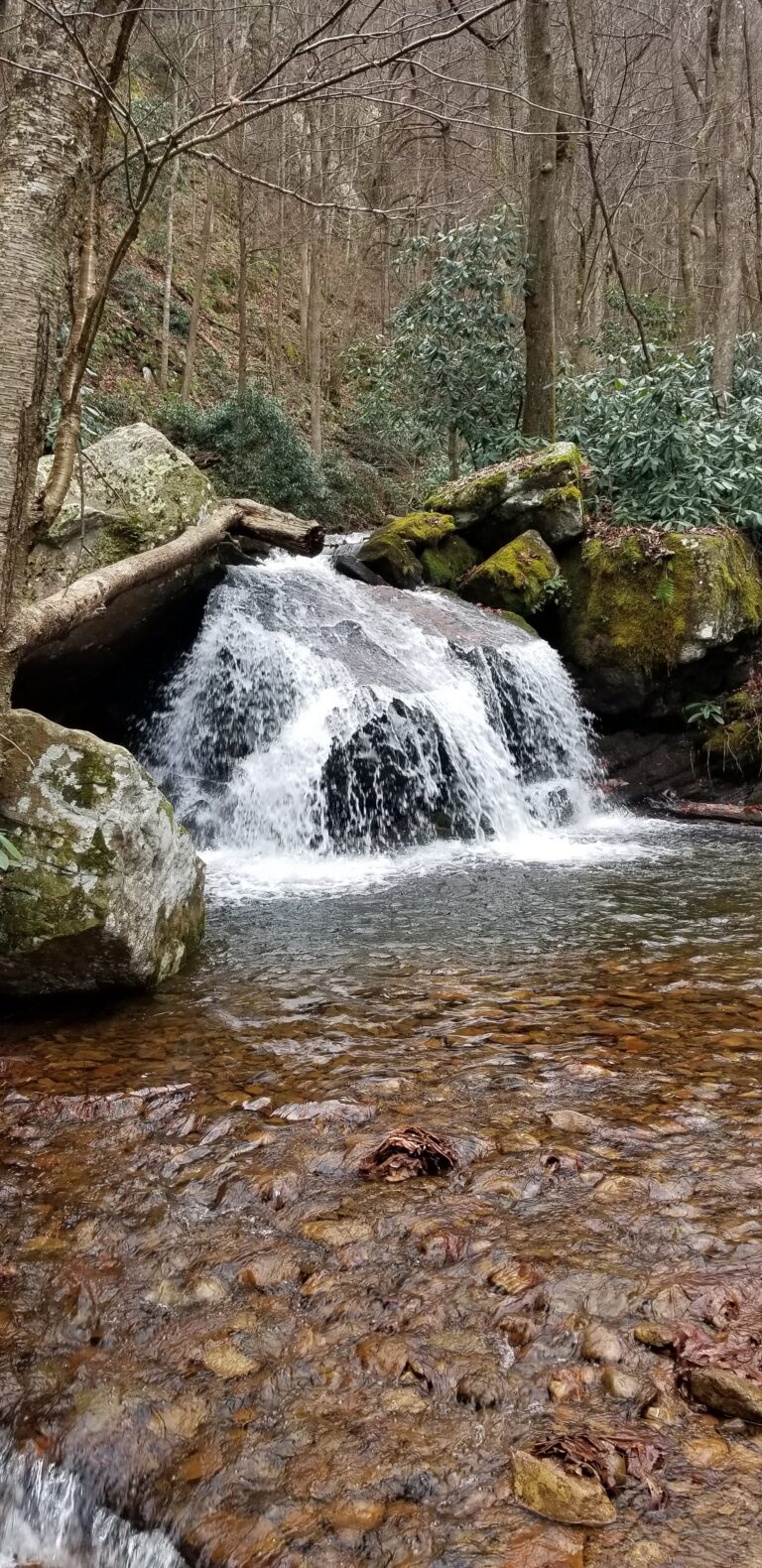 Small waterfall into a pool near the Bullen Hollow trailhead