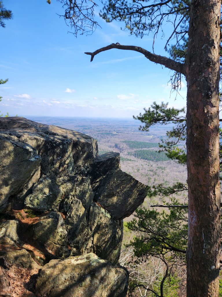 Rock outcrop and pine at Crowders Mountain