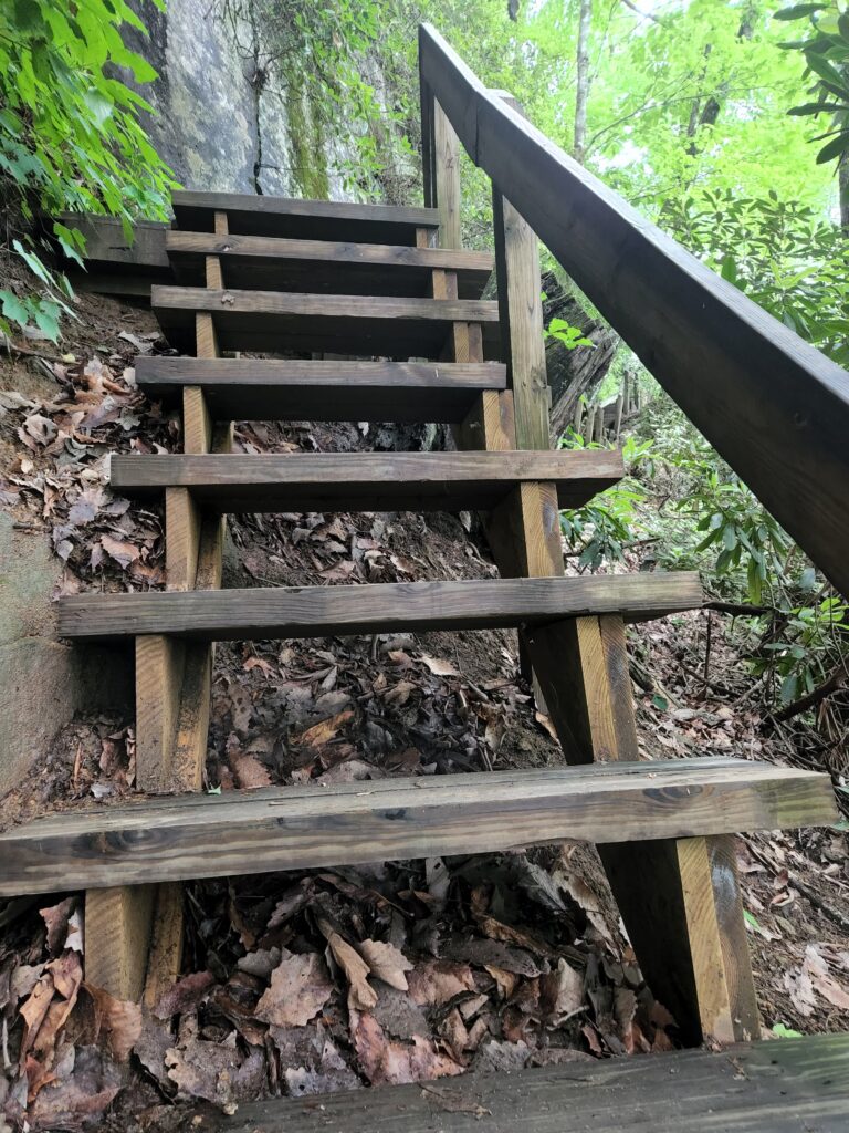 Wooden stairs on the trail
