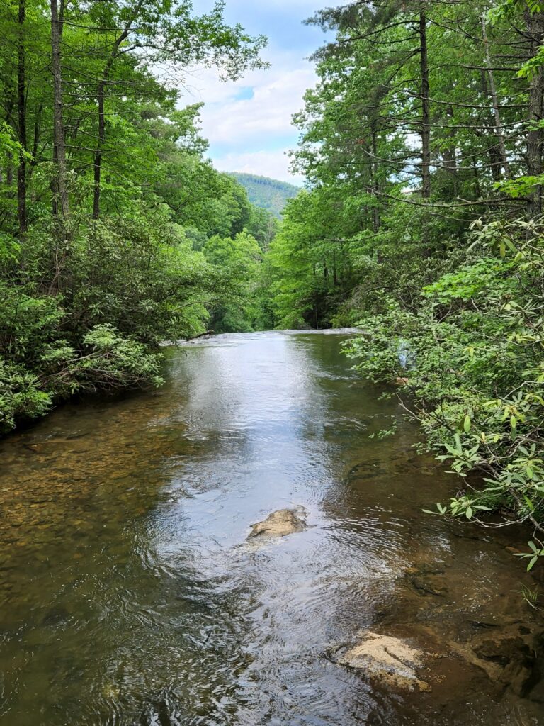 The Jacob Fork River