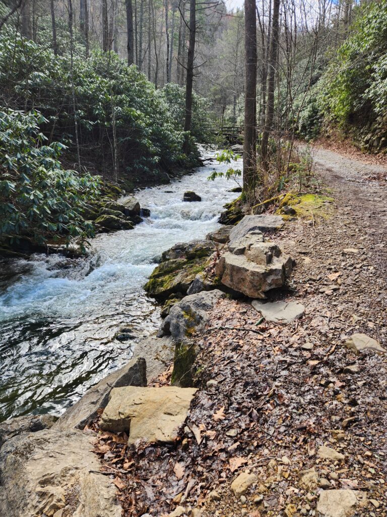 Horse Creek beside the trail