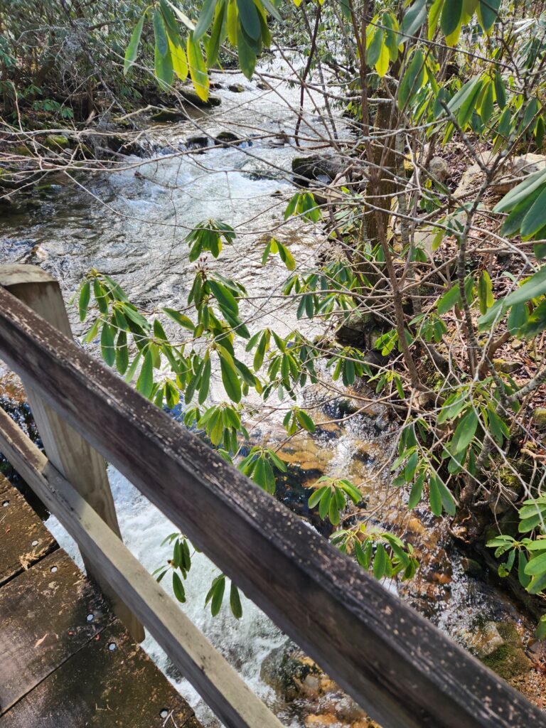 Creek seen from a footbridge