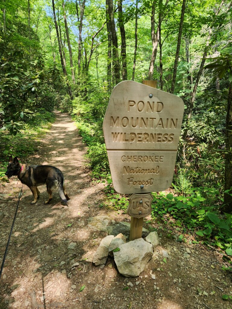 Pond Mountain Wilderness sign with our dog