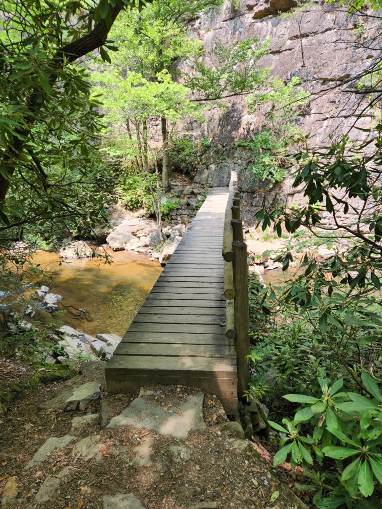 Footbridge over Laurel Fork