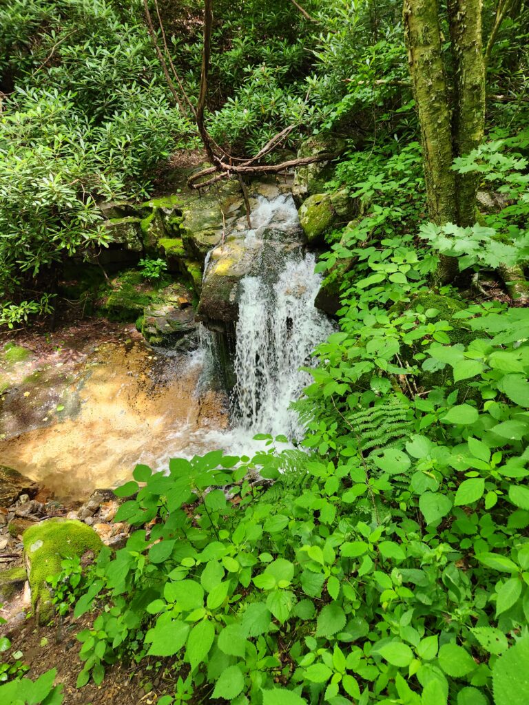 Small cascade on Rock Creek