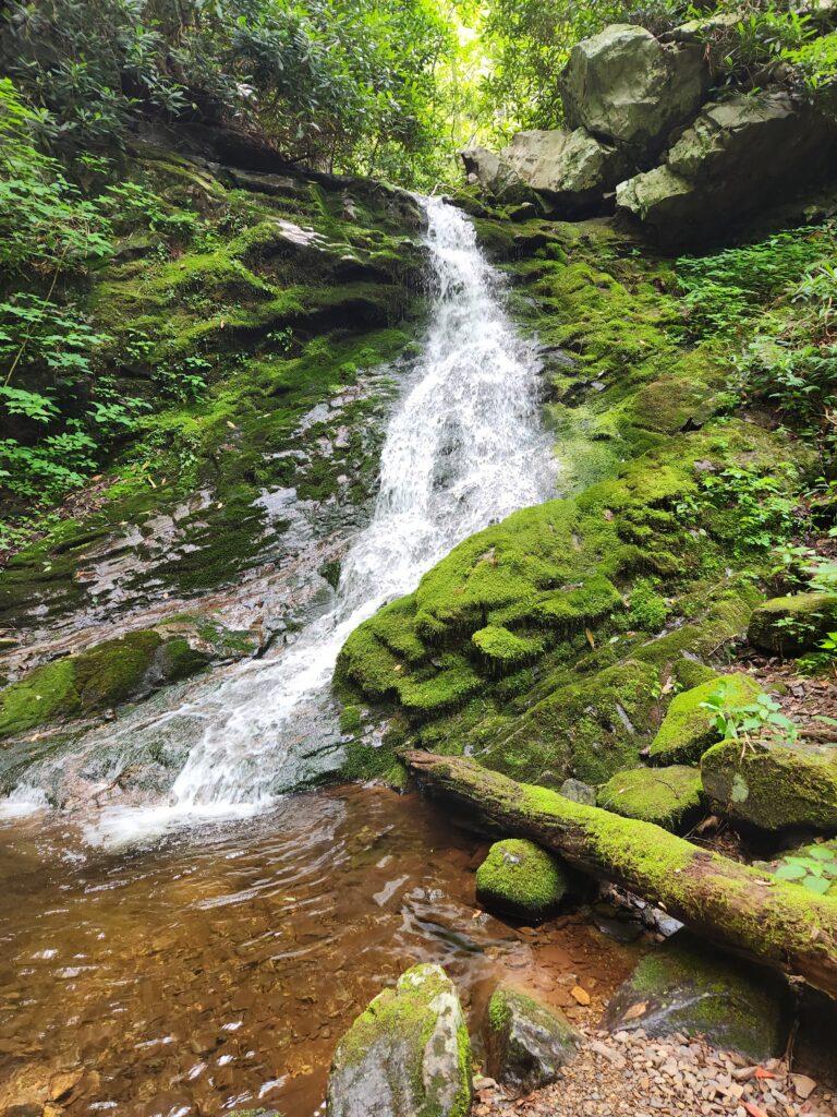 Squibb Creek Falls over mossy rock