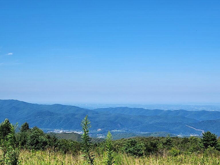 View from the grassy bald at Beauty Spot
