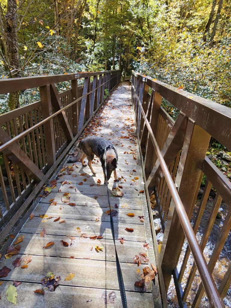 Footbridge over Rocky Fork