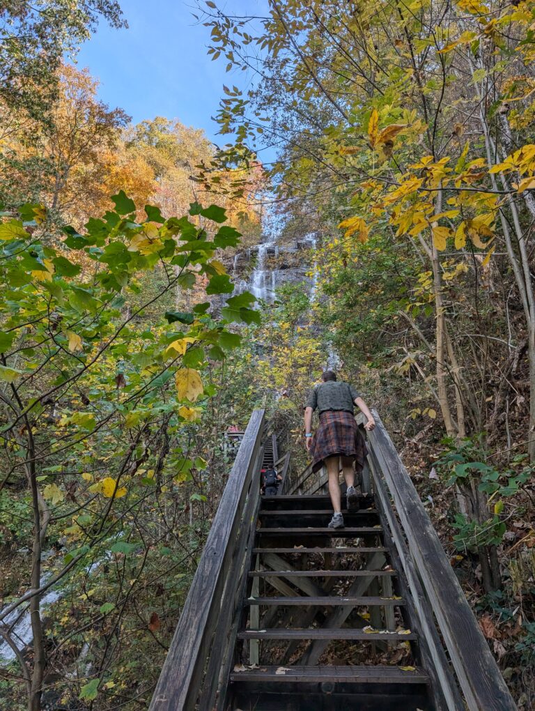 Stairs up through fall leaves