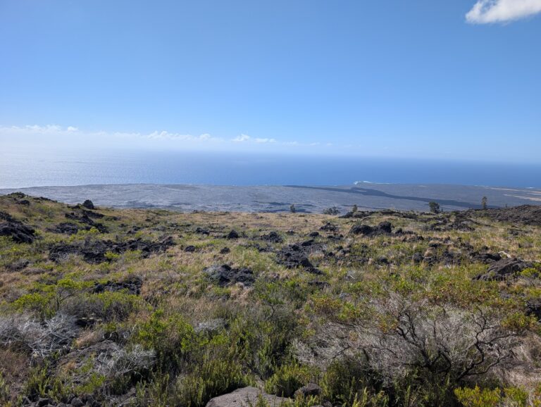 Lava fields along the Keauhou Trail