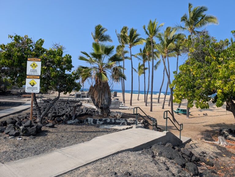 Palms at Kekaha Kai State Park