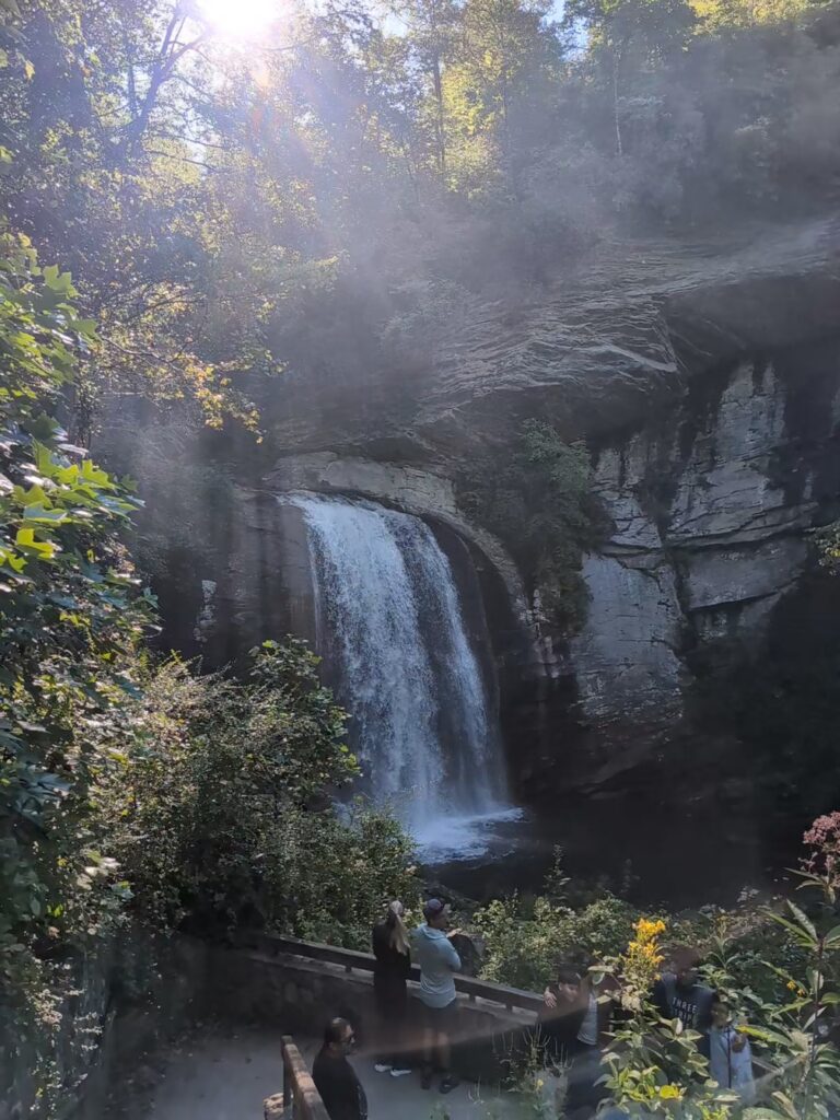 Looking Glass Falls in morning light