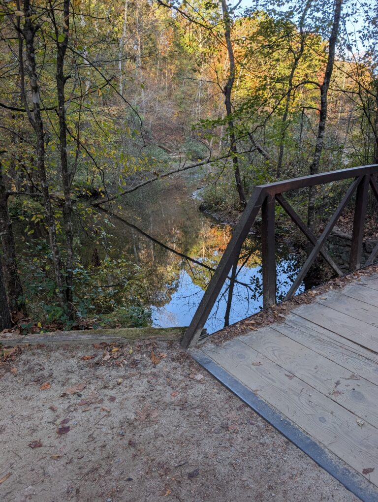 Footbridge on the Salem Lake Trail