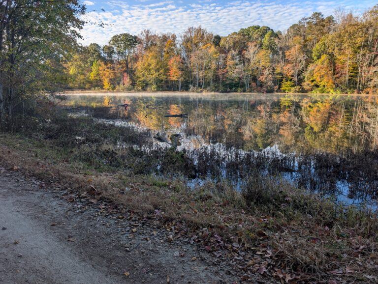 Fall color reflected in Salem Lake