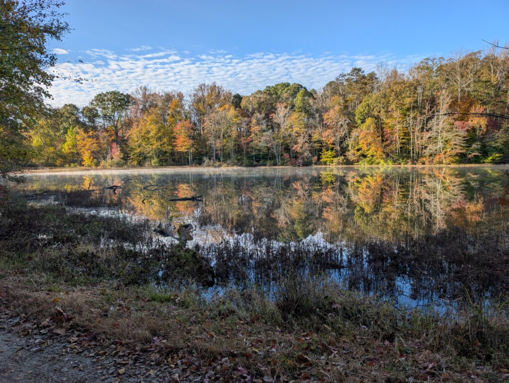 Salem Lake shoreline in fall
